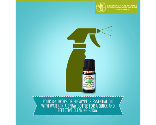 Eucalyptus Essential Oil