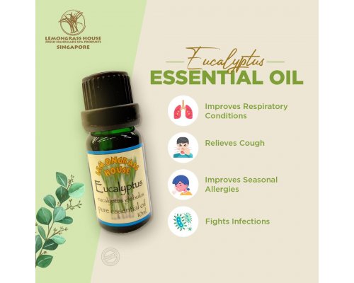 Eucalyptus Essential Oil