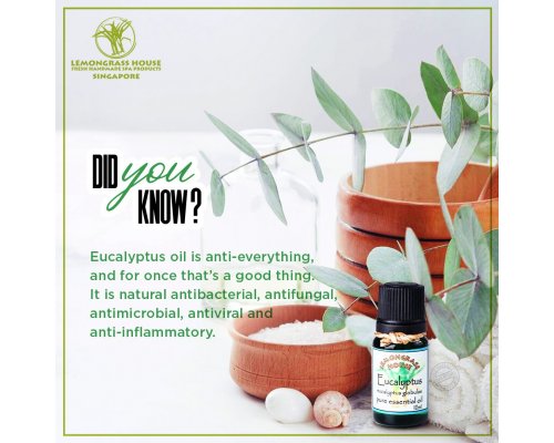 Eucalyptus Essential Oil