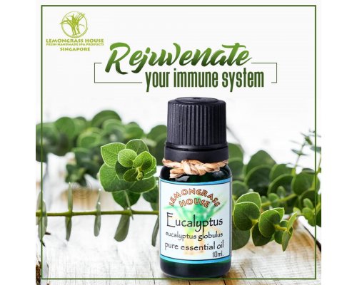 Eucalyptus Essential Oil
