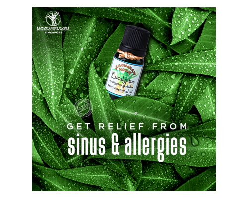 Eucalyptus Essential Oil