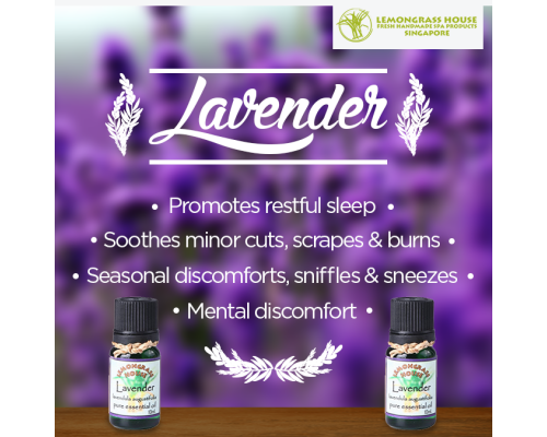 Lavender Essential Oil