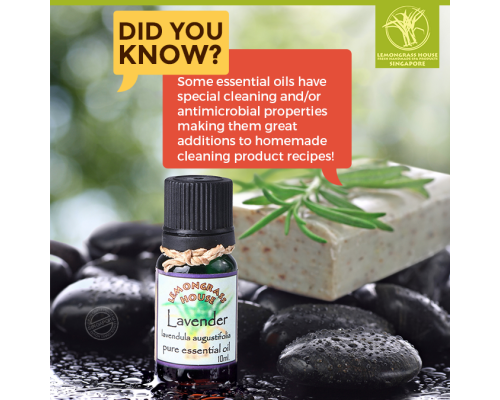 Lavender Essential Oil