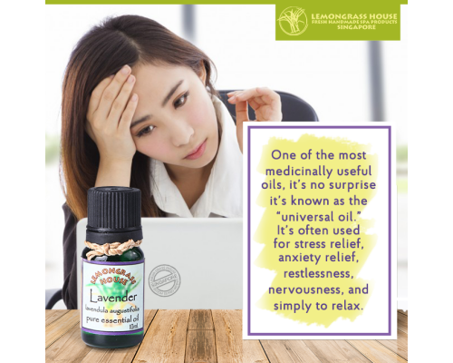 Lavender Essential Oil