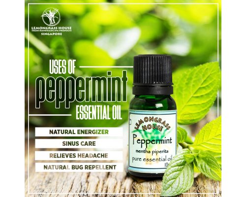 Peppermint Essential Oil