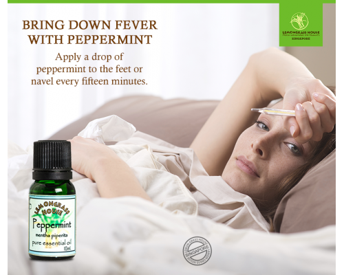 Peppermint Essential Oil