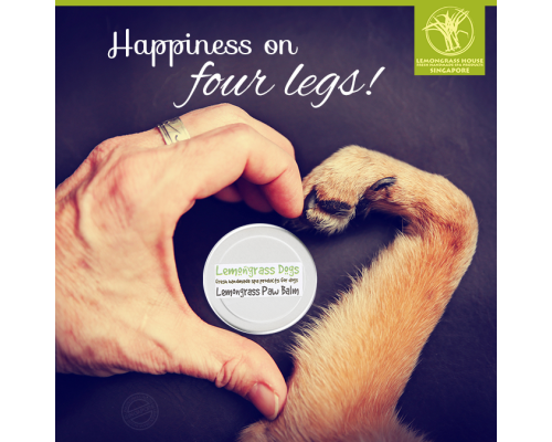 Dog Paw Balm