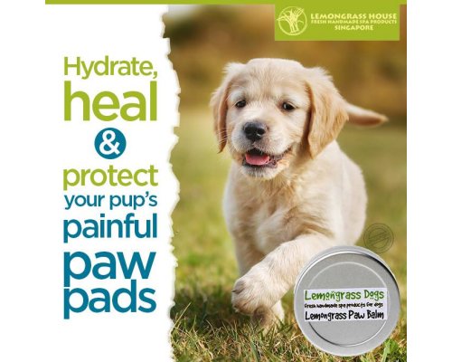 Dog Paw Balm