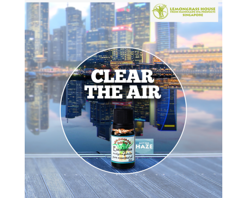 Eucalyptus Essential Oil