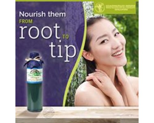 Blue Chamomile Shampoo