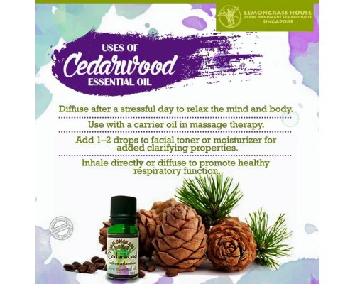 Cedarwood Essential Oil
