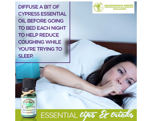Cypress Essential Oil
