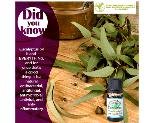 Eucalyptus Essential Oil
