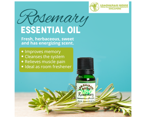 Rosemary Essential Oil