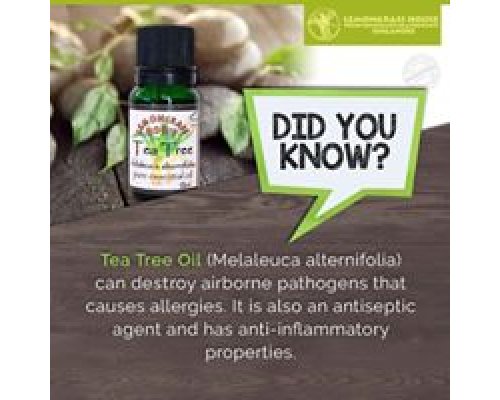 Tea Tree Essential Oil