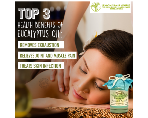 Eucalyptus Massage & Body Oil